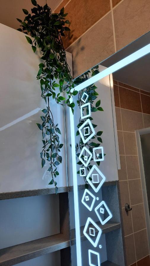 Apartman Modena Lux Vrnjačka Banja エクステリア 写真