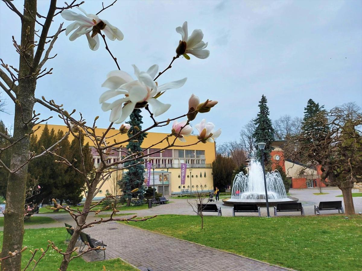 Apartman Modena Lux Vrnjačka Banja エクステリア 写真